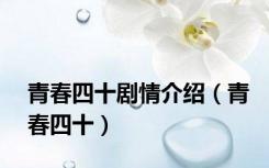青春四十剧情介绍（青春四十）