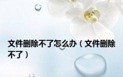 文件删除不了怎么办（文件删除不了）