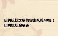 我的抗战之猎豹突击队第40集（我的抗战演员表）