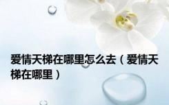 爱情天梯在哪里怎么去（爱情天梯在哪里）