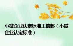 小微企业认定标准工信部（小微企业认定标准）