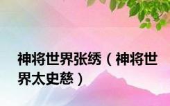 神将世界张绣（神将世界太史慈）