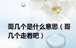 哥几个是什么意思（哥几个走着吧）