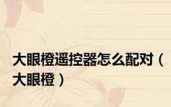 大眼橙遥控器怎么配对（大眼橙）