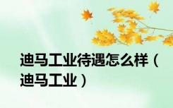 迪马工业待遇怎么样（迪马工业）
