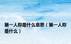 第一人称是什么意思（第一人称是什么）