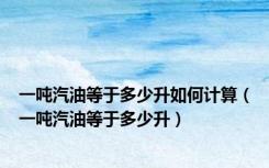 一吨汽油等于多少升如何计算（一吨汽油等于多少升）