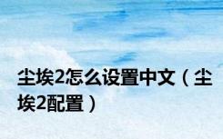 尘埃2怎么设置中文（尘埃2配置）