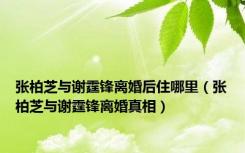 张柏芝与谢霆锋离婚后住哪里（张柏芝与谢霆锋离婚真相）