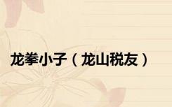 龙拳小子（龙山税友）