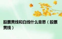 股票黄线和白线什么意思（股票 黄线）