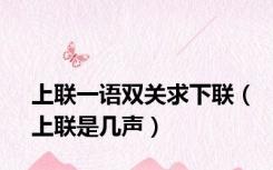 上联一语双关求下联（上联是几声）