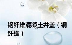 钢纤维混凝土井盖（钢纤维）