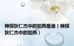 神探狄仁杰中的如燕是谁（神探狄仁杰中的如燕）