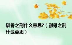 剔骨之刑什么意思?（剔骨之刑什么意思）