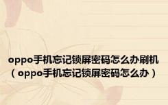 oppo手机忘记锁屏密码怎么办刷机（oppo手机忘记锁屏密码怎么办）