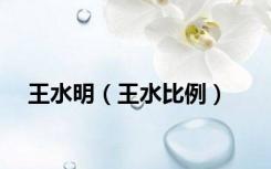 王水明（王水比例）