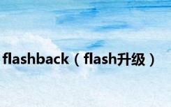 flashback（flash升级）