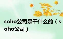 soho公司是干什么的（soho公司）