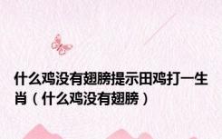 什么鸡没有翅膀提示田鸡打一生肖（什么鸡没有翅膀）