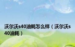 沃尔沃s40油耗怎么样（沃尔沃s40油耗）