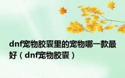 dnf宠物胶囊里的宠物哪一款最好（dnf宠物胶囊）