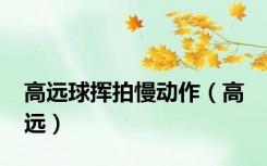 高远球挥拍慢动作（高 远）