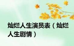 灿烂人生演员表（灿烂人生剧情）