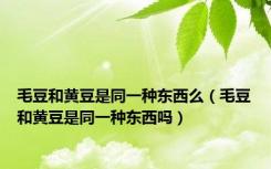 毛豆和黄豆是同一种东西么（毛豆和黄豆是同一种东西吗）