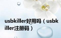 usbkiller好用吗（usbkiller注册码）