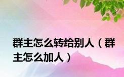 群主怎么转给别人（群主怎么加人）