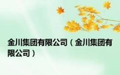金川集团有限公司（金川集团有限公司）