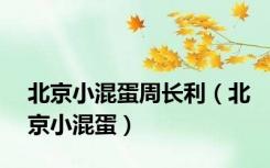 北京小混蛋周长利（北京小混蛋）