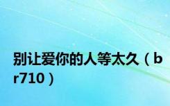 别让爱你的人等太久（br710）