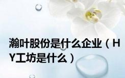 瀚叶股份是什么企业（HY工坊是什么）