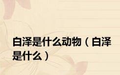 白泽是什么动物（白泽是什么）