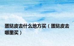 蛋挞皮去什么地方买（蛋挞皮去哪里买）