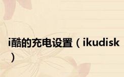 i酷的充电设置（ikudisk）