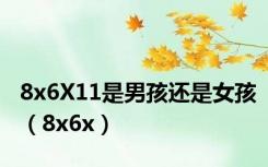 8x6X11是男孩还是女孩（8x6x）