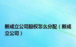 新成立公司股权怎么分配（新成立公司）