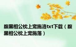 腹黑相公枕上宠施洛txt下载（腹黑相公枕上宠施落）