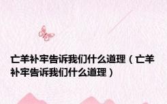 亡羊补牢告诉我们什么道理（亡羊补牢告诉我们什么道理）