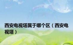 西安电视塔属于哪个区（西安电视塔）