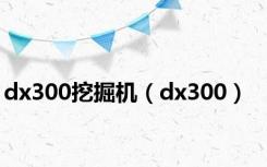 dx300挖掘机（dx300）