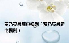 贾乃亮最新电视剧（贾乃亮最新电视剧）