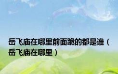 岳飞庙在哪里前面跪的都是谁（岳飞庙在哪里）
