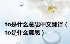 to是什么意思中文翻译（to是什么意思）