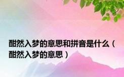 酣然入梦的意思和拼音是什么（酣然入梦的意思）