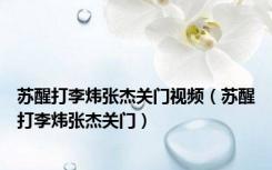 苏醒打李炜张杰关门视频（苏醒打李炜张杰关门）