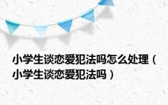 小学生谈恋爱犯法吗怎么处理（小学生谈恋爱犯法吗）